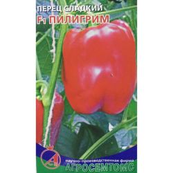 Перец семена пилигрим  АГРОСЕМТОМС
