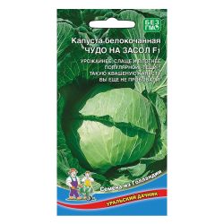 Капуста семена чудо на засол б/к  УРАЛЬСКИЙ ДАЧНИК