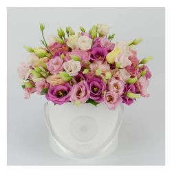 Эустома рассада 