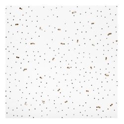 Панель потолочная ANGARA 600мм х 600мм х 7мм /уп 24