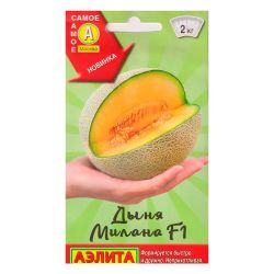 Дыня семена милана  АЭЛИТА