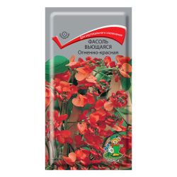 Фасоль семена вьющаяся огненно-красная  ПОИСК