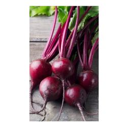 Свекла семена рафинадная  УРАЛЬСКИЙ ДАЧНИК