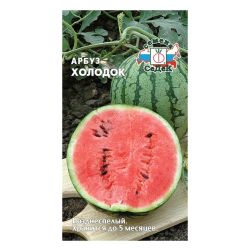Арбуз семена холодок  СЕДЕК