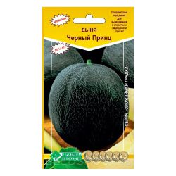 Дыня семена черный принц  ЕВРОСЕМЕНА
