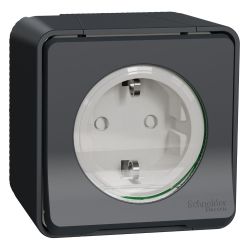 Розетка 1-ая о/п з/к с шторками IP55 SCHNEIDER ELECTRIC MUREVA S антрацит