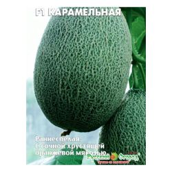 Дыня семена карамельная  СЕДЕК