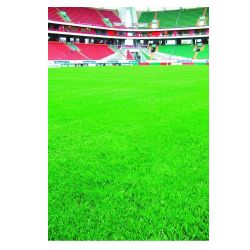 Газон СПОРТ  20,0кг