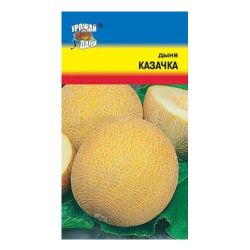 Дыня семена казачка  УРОЖАЙ УДАЧИ
