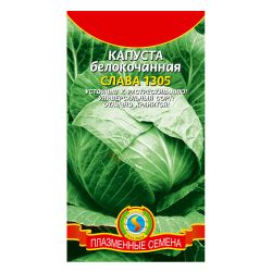 Капуста семена слава 1305 б/к  ПЛАЗМА
