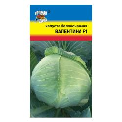 Капуста семена валентина б/к УРОЖАЙ УДАЧИ