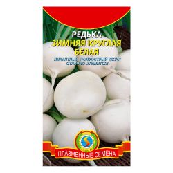 Редька семена зимняя круглая белая  ПЛАЗМА