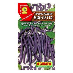 Фасоль семена виолетта  АЭЛИТА