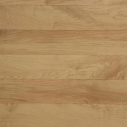 Линолеум гомогенный Omnisports R83 Maple  2.0м TARKETT