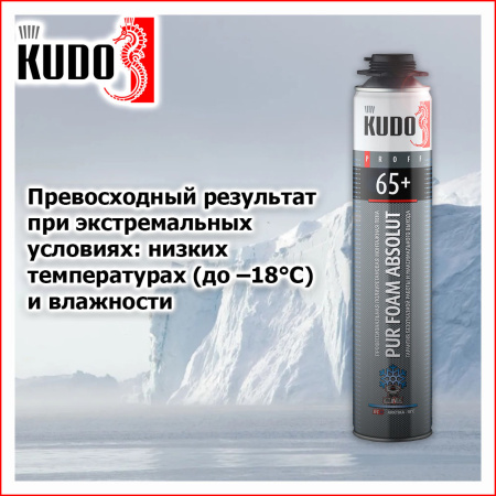 Пена монтажная профи зима  750мл  KUDO Proff 65+  Arktika ( -18*С)