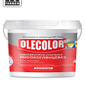 OLECOLOR