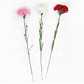 Цветы искусственные